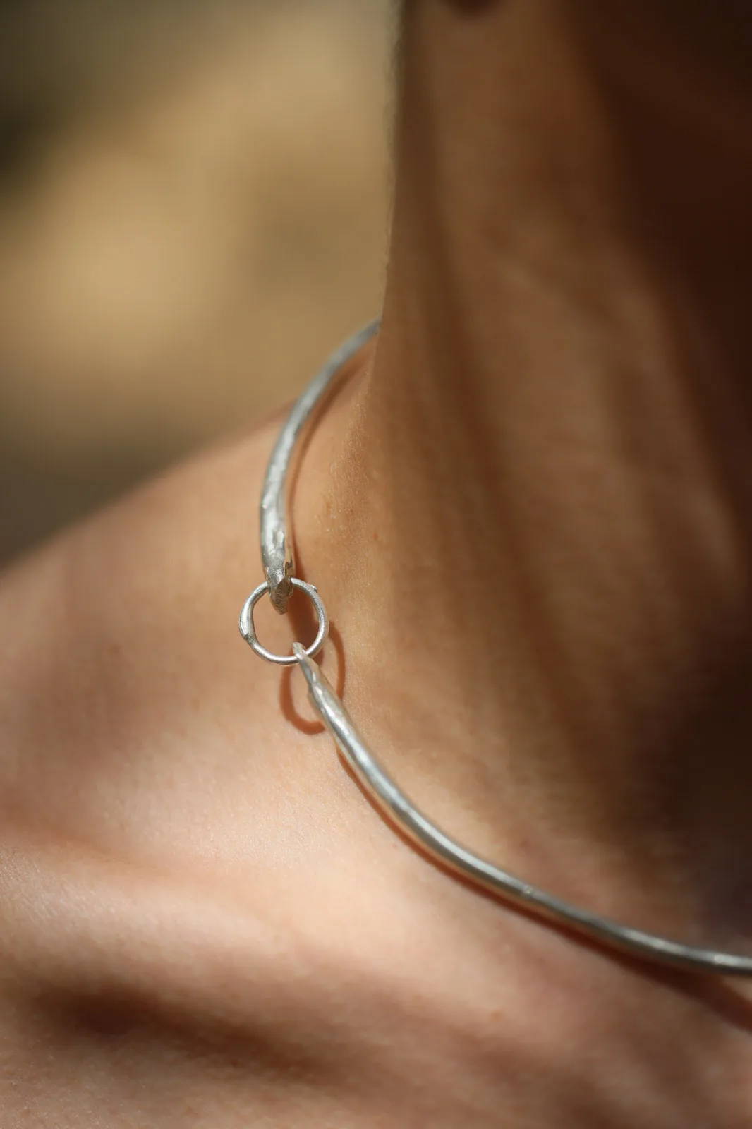 Root Collar — view 2
