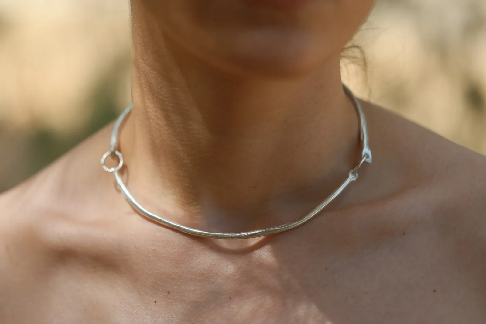 Root Collar