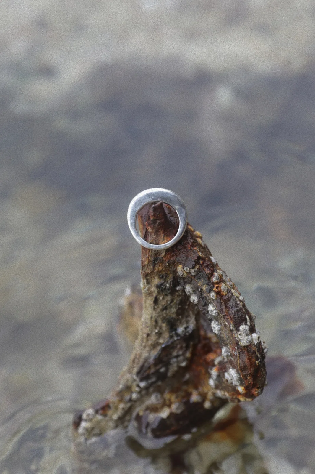SRN-RNG07 RING — view 2