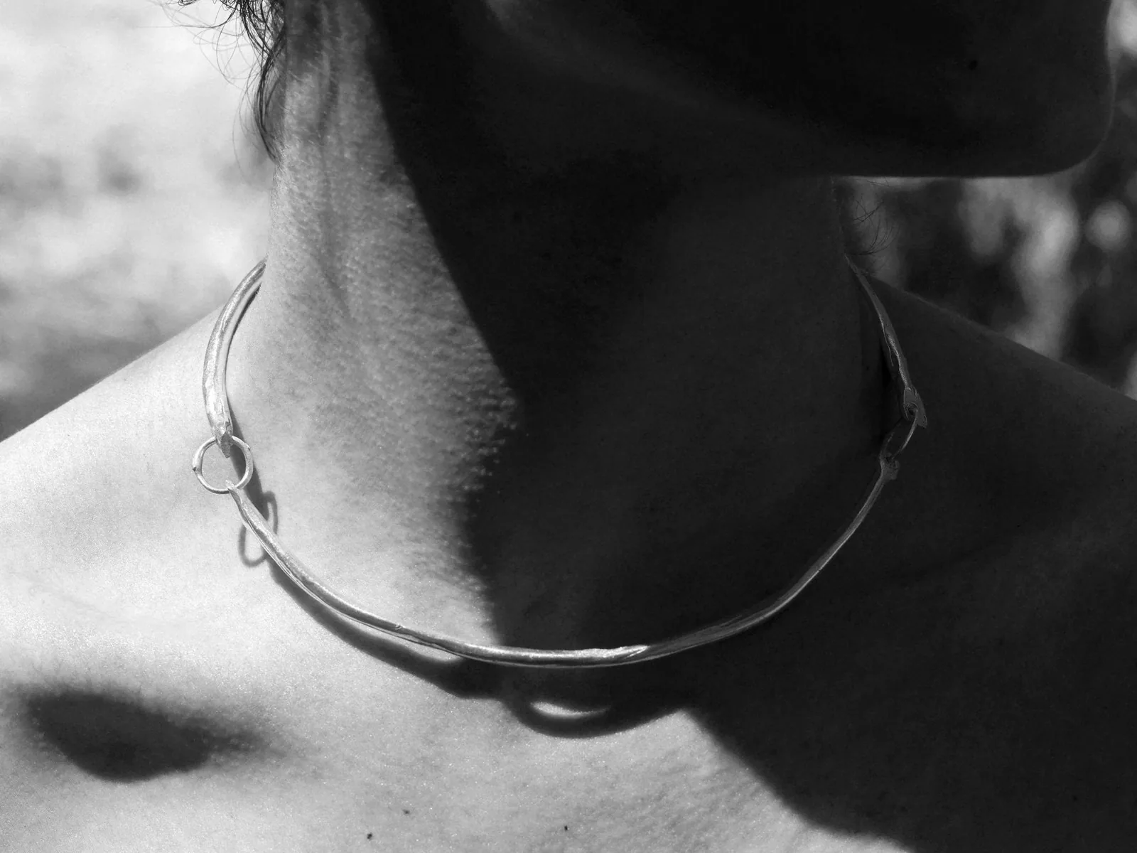 Root Collar — view 3